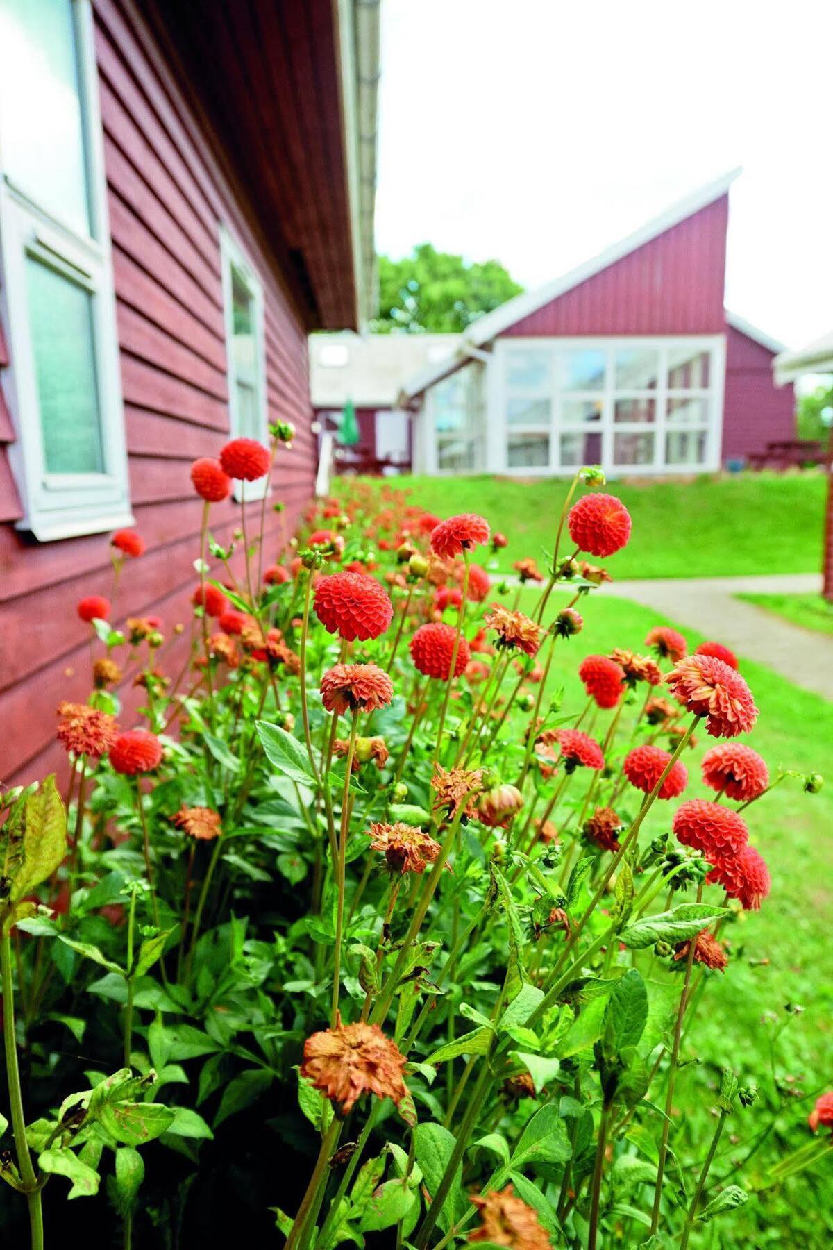 Danhostel Faxe Kalkbrud Buitenkant foto